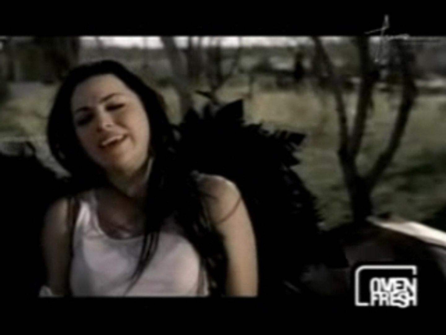 Seether ft. Amy Lee (Evanescence) - Broken - Vidéo Dailymotion