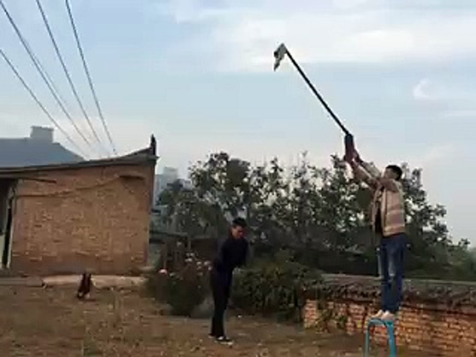 The best way to train your dog like this