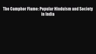 (PDF Download) The Camphor Flame: Popular Hinduism and Society in India PDF