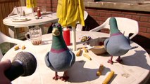 Welcome To Sarentifia Creature Comforts 1989 Video Dailymotion