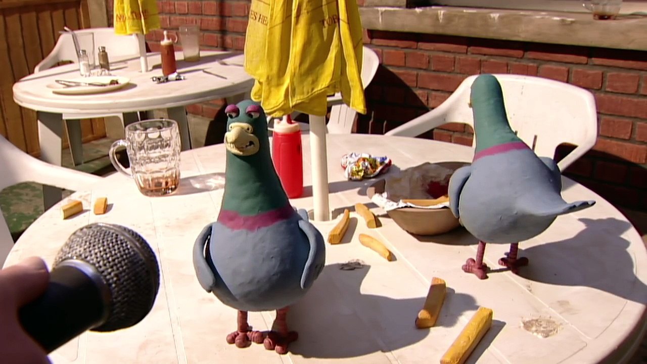 Feeding Time Creature Comforts Part 2 (HD)