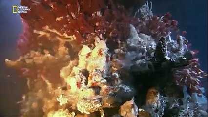 Okyanusların Ortaya Çıkışı Ve Yaşamın Gelişimi (Belgesel)