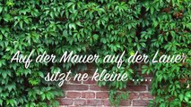 Kinderlieder deutsch Auf der Mauer auf der Lauer sitzt ne kleine Wanze