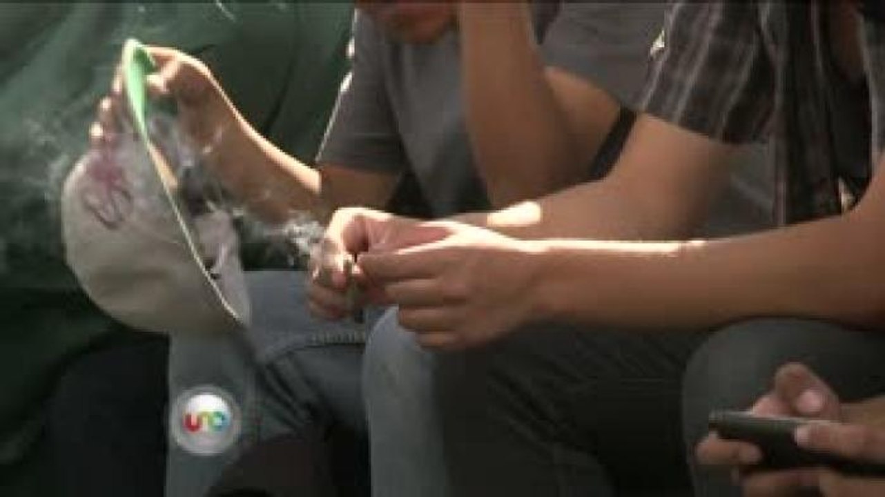 Inicia Congreso debate para la regulación de la marihuana