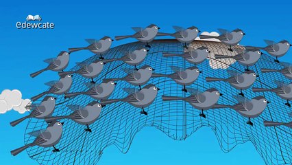 Edewcate Hindi Rhymes | Ek Chidiya rhyme