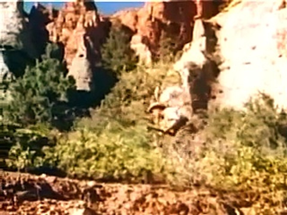 The Big Cat 1949 film