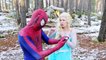 Frozen Elsa Saves Spiderman from Joker in REAL LIFE! Iron Spiderman Transformation Superheroes Movi