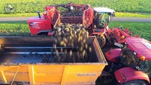 Vervaet 617 van de CWV uit Emmen Case IH Maxxum 120 met Veenhuis zorgt voor het transport