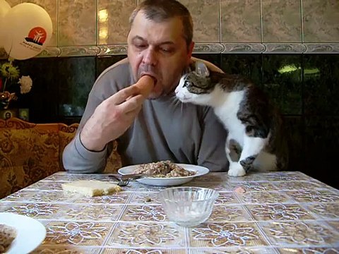 Как мой кот, просит кушать. Butch cat chooses sausage.