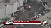 Shots fired at L.A. area mall, one injured