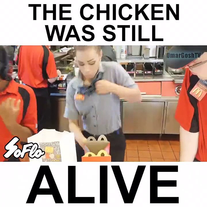 Alive chicken amazing