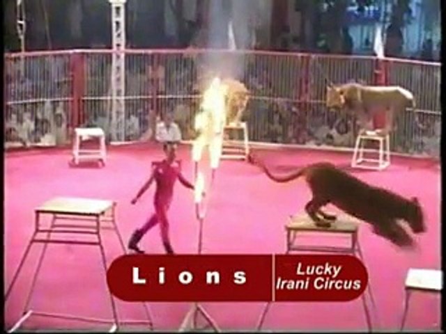 lucky irani circus-1