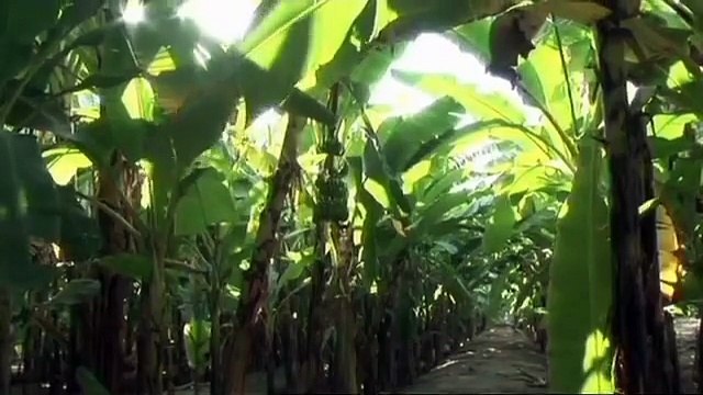 Oman, Podróże, HD, filmy-lektor.pl, cały film, filmy z lektorem,hd,film dokumentalny