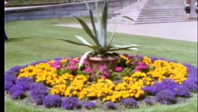 Holandia,Podróże marzeń, HD, filmy-lektor.pl, cały film, filmy z lektorem,holland