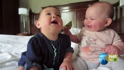 Cute Babies Talk Ever Very Funny | Feed Pak