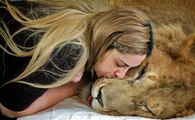 Young Lady Is Getting Mauled By Two Young Lions