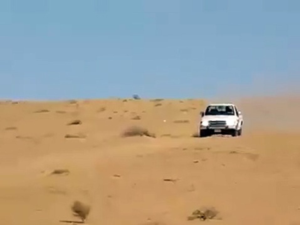 Can you Drive Like Him