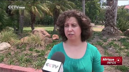 Soudaine disparition des grands requins blancs en Afrique du Sud