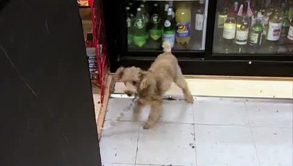 포항오피업소추천 ∥마산오피《udaiso03．cＯm》서대문건마グ군산오피