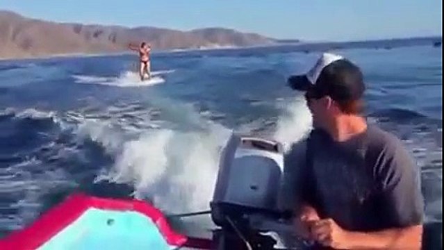 Стая дельфинов настигла девушку в открытом море