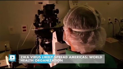 Zika Virus Likely Spread Americas: World Health Organization