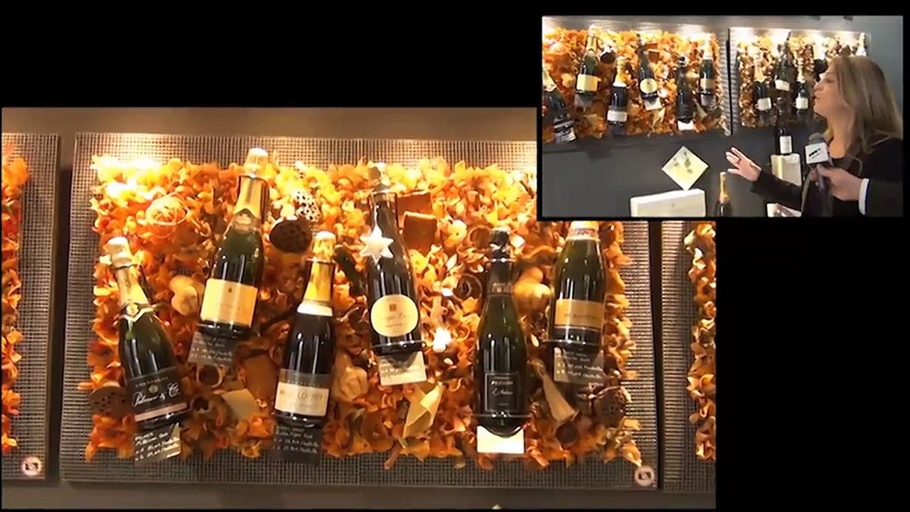 Conférence de presse de la 2ème édition des Jeunes Talents du Tourisme 2013 - Les impressions des Jeunes Talents