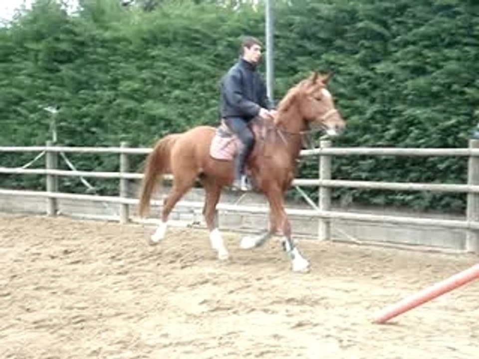 Ocean et Matias