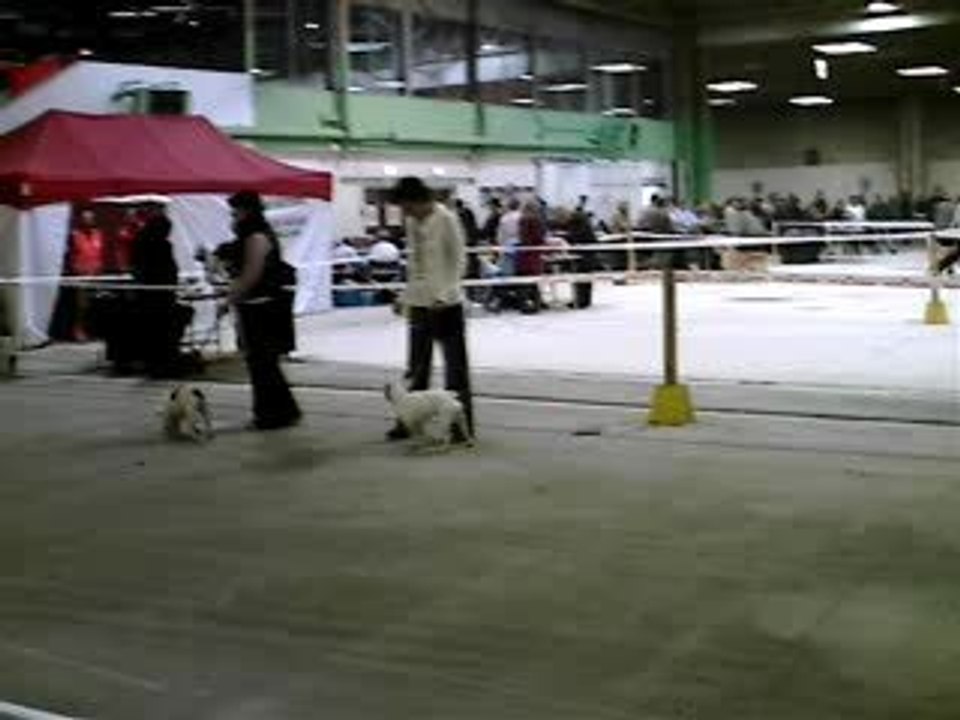 Azor a l'expo de troyes 02/2006