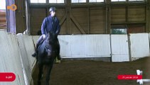 SUJET - Stage de saut d'obstacles pour les cavaliers du Manège