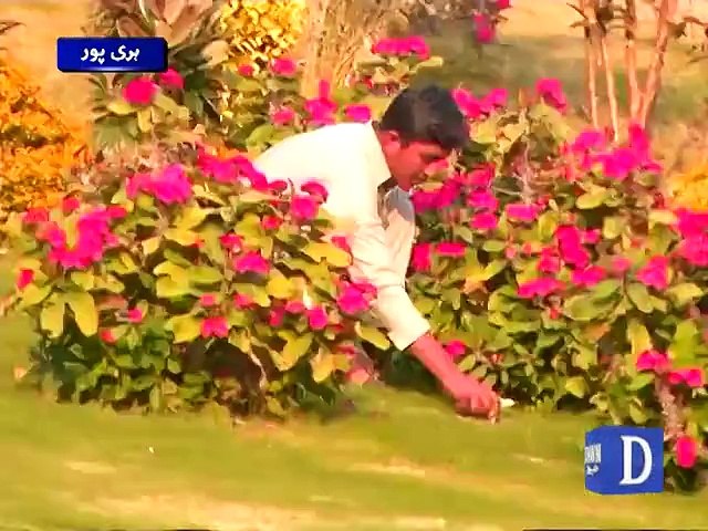 Innovative Farming in Haripur