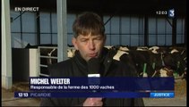 20160119-F3Pic-12-13-Drucat-Mille Vaches : suspension des sanctions