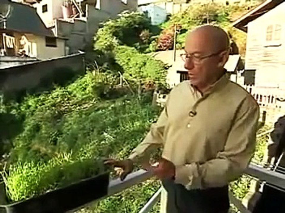 Dieta do PH - Dicas de Alimentação para Uma Dieta Alcalina ou do PH pelo Dr Alberto Gonzales