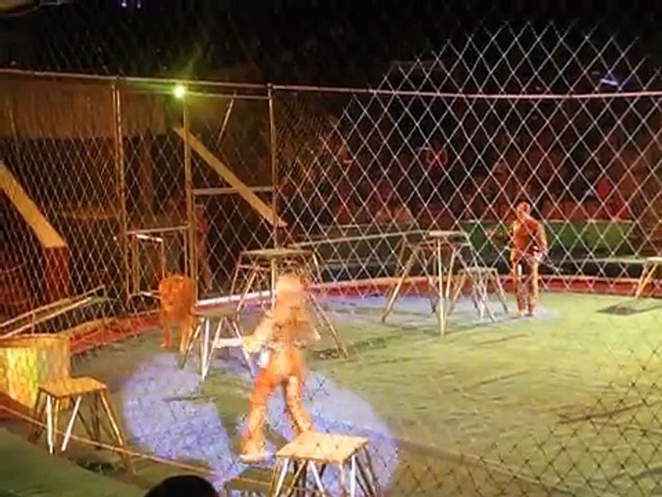 Horrible incident Lviv Circus