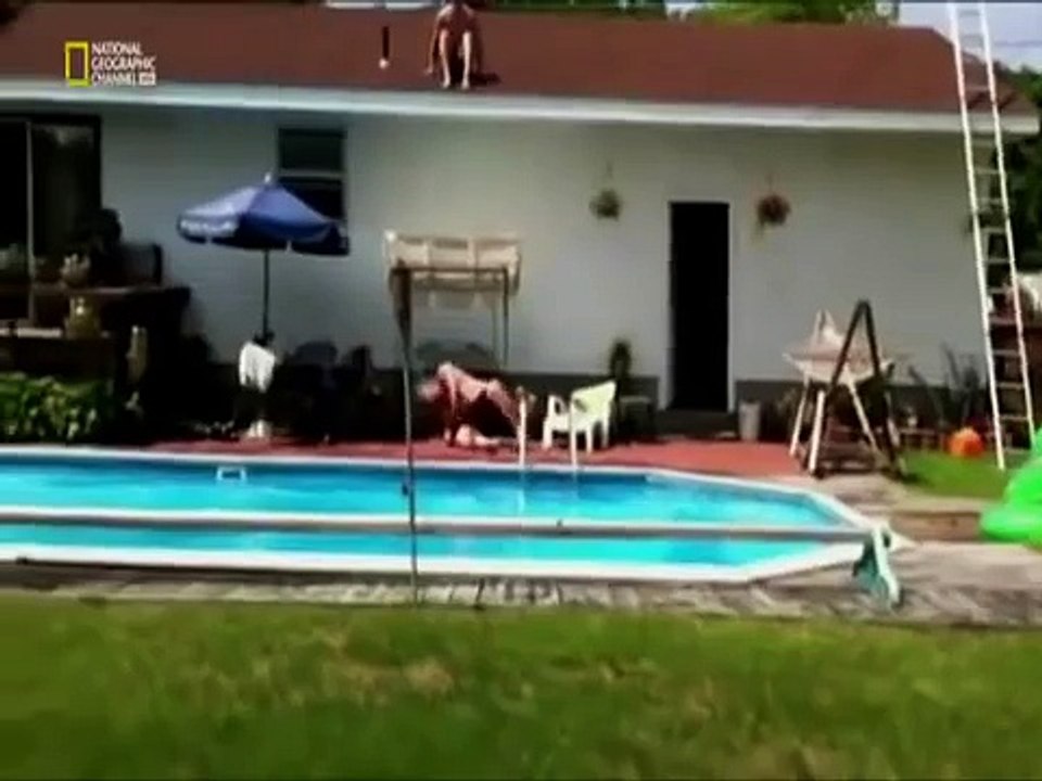 Science of Stupid - Best New Season - National Geographic