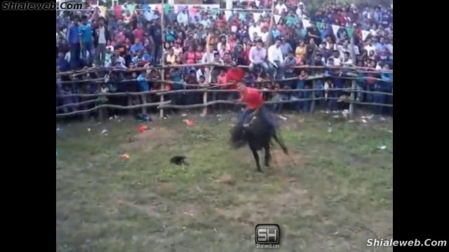 JARIPEO RANCHERO EN MAMEY SANTIAGO AMOLTEPEC OAXACA MEXICO DIVERCION EN LA FIESTA CHARRA CON BUENOS TOROS Y JINETES AMATEUR ENERO 2016