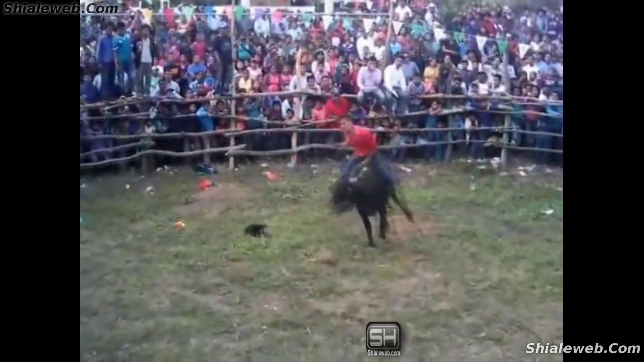 JARIPEO RANCHERO EN MAMEY SANTIAGO AMOLTEPEC OAXACA MEXICO DIVERCION EN LA FIESTA CHARRA CON BUENOS TOROS Y JINETES AMATEUR ENERO 2016