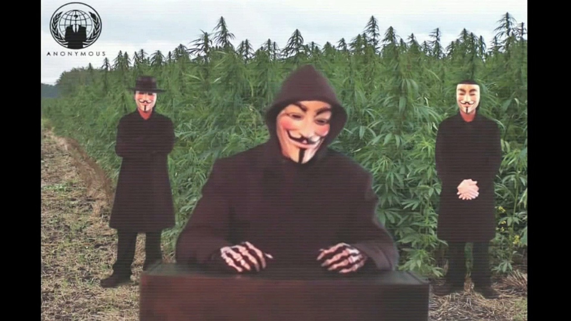 Cannabis génétiquement modifié