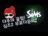 [다주] 다주의 꿀팁! 심즈2 정품이 무료라구!? [심즈2/Sims2]