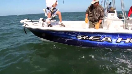 When Fish Attack Back Compilation