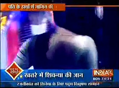 Naagin 25th January 2016 Naagin aur Nevle ko Ek doosre ke Karib dekh Kar Ritik ko Laga Shock