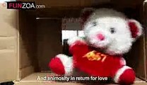 Life Bekar Hai- Cute Teddy Bear Singing Funny Hindi Song + Lyrics
