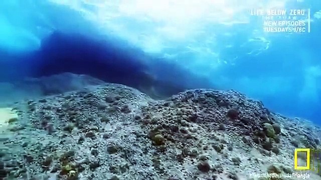 National Geographic - [Bermuda Triangle] Top Secret Revealed - National Geographic Documentary