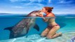 dolphin saves vs human saves dolphin ( show the difference ) HD