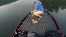 Nehirde Balık Avlayacakken İki Minnoş Kedi Yakalayan Balıkçılar