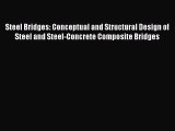 [PDF Download] Steel Bridges: Conceptual and Structural Design of Steel and Steel-Concrete