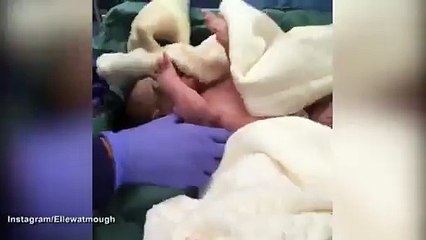 Elle Watmough posts touches video of baby Jagger Rose _ Daily Mail Online