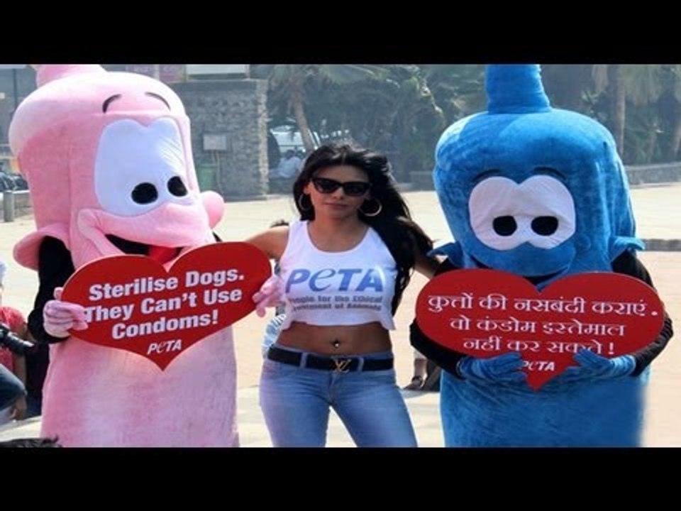 Sherlyn Chopra Along With PETA's Giant Condom