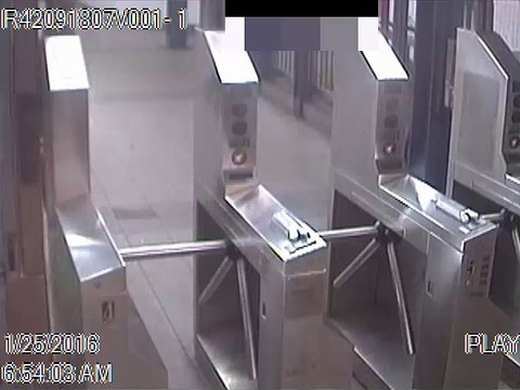 Subway slashing suspect