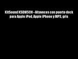 KitSound KSDM5CH - Altavoces con puerto dock para Apple iPod Apple iPhone y MP3 gris