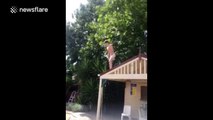 Man falls through roof during Australia day pool jump attempt